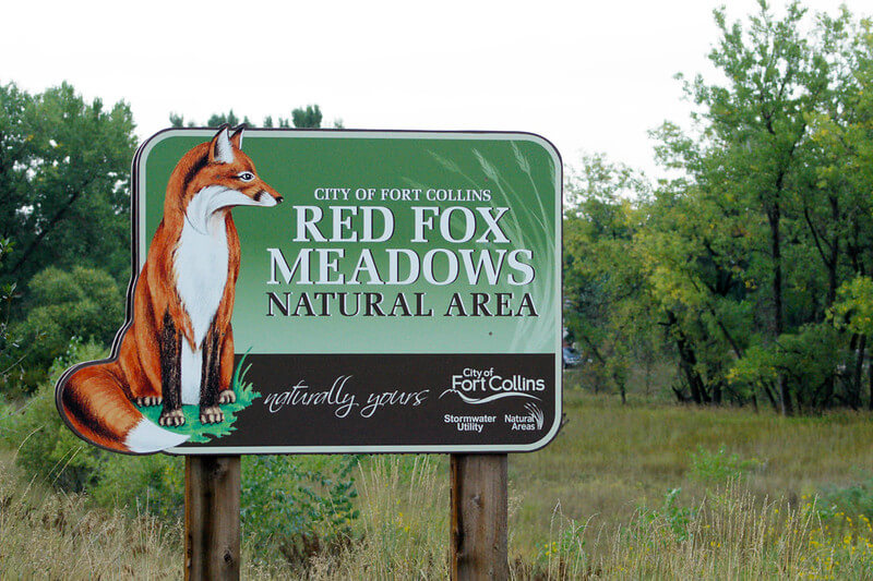 Red Fox Meadows