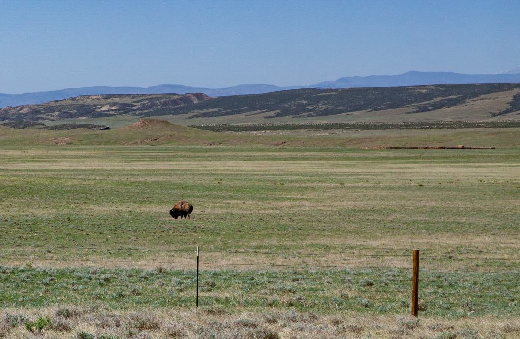 Look for Issue 302 on your ballot!