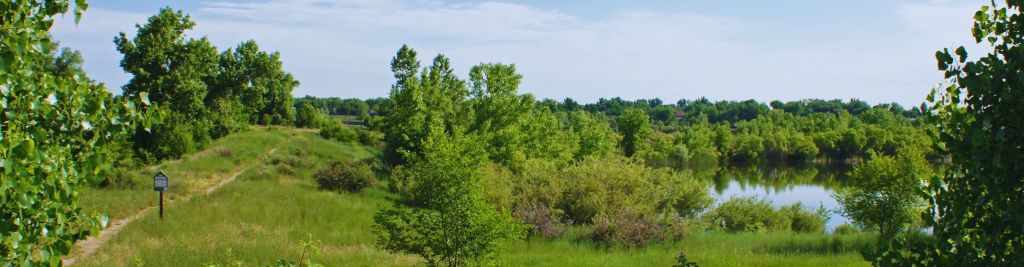 Trail along a pond in a natural area